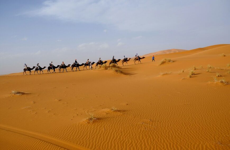 7 days tour from Marrakech
