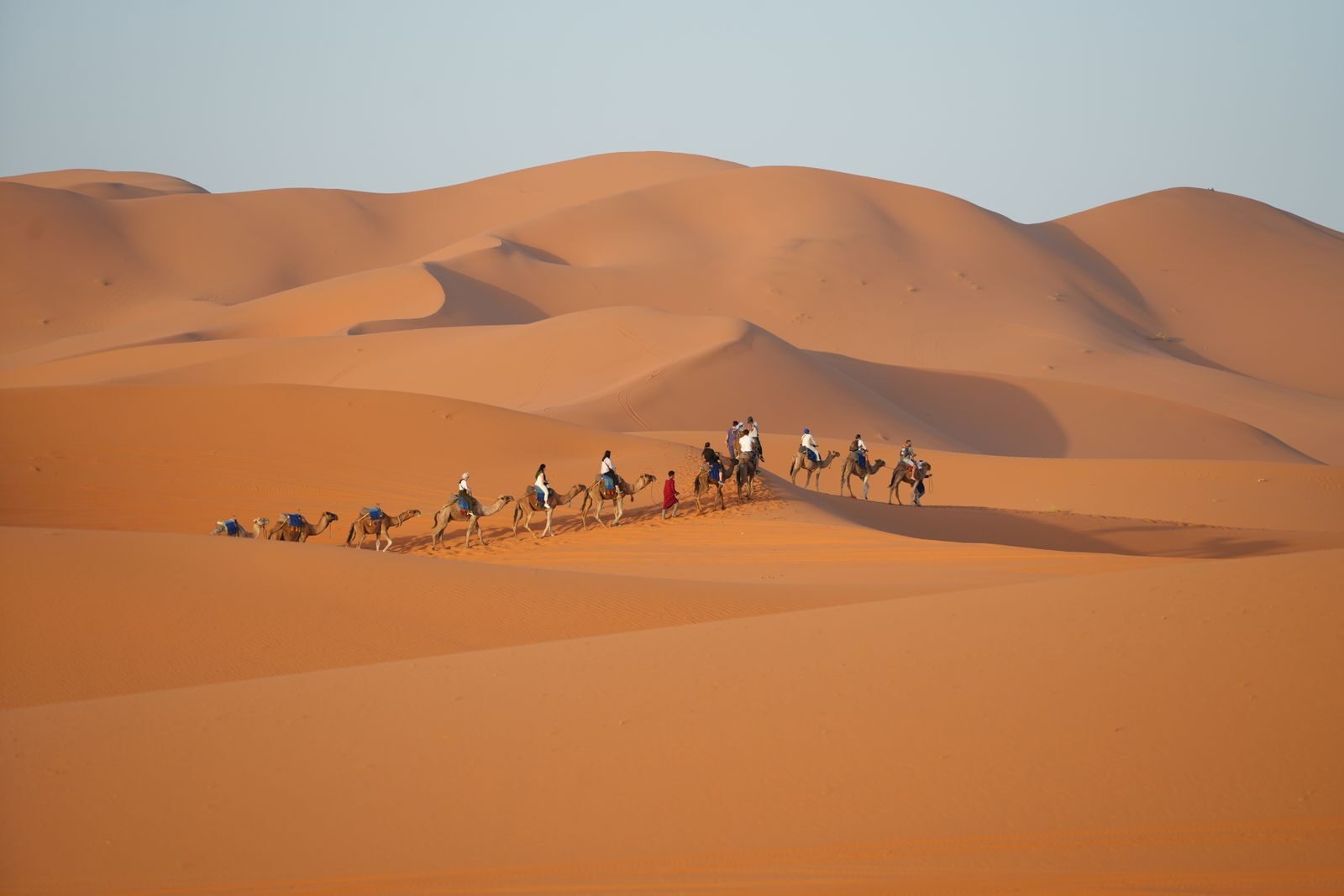 Sahara Desert